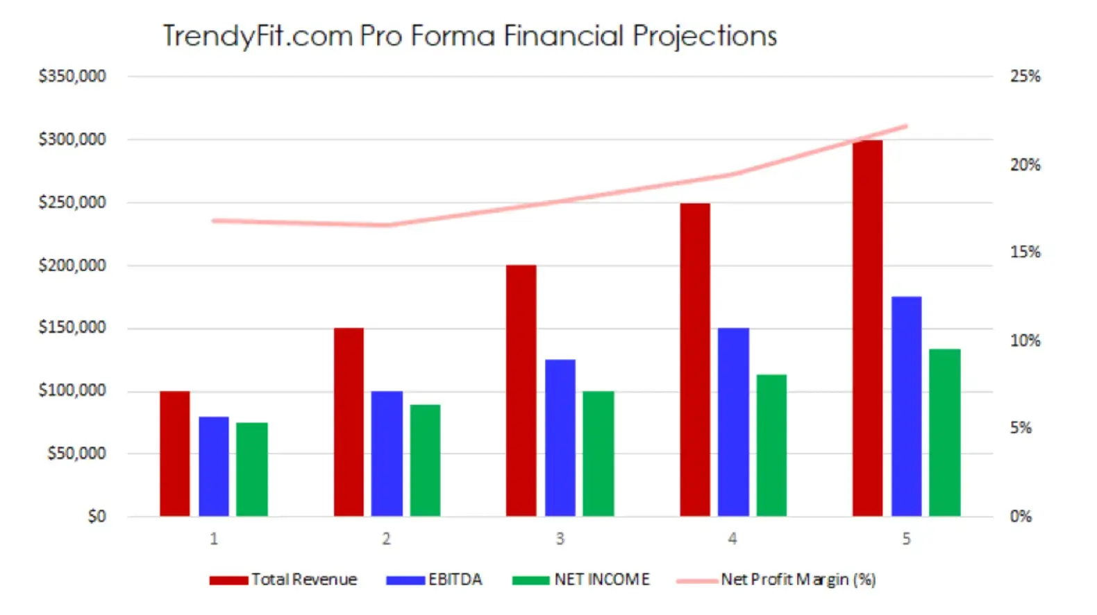 financial projections sample, ecommerce business plan