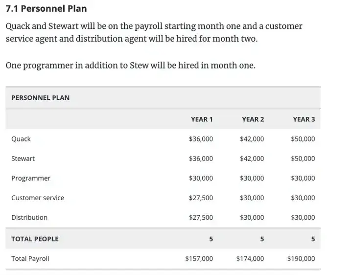 personnel plan sample, ecommerce business plan