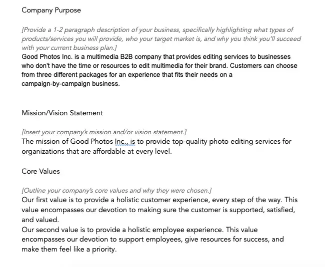 business overview, ecommerce business plan template