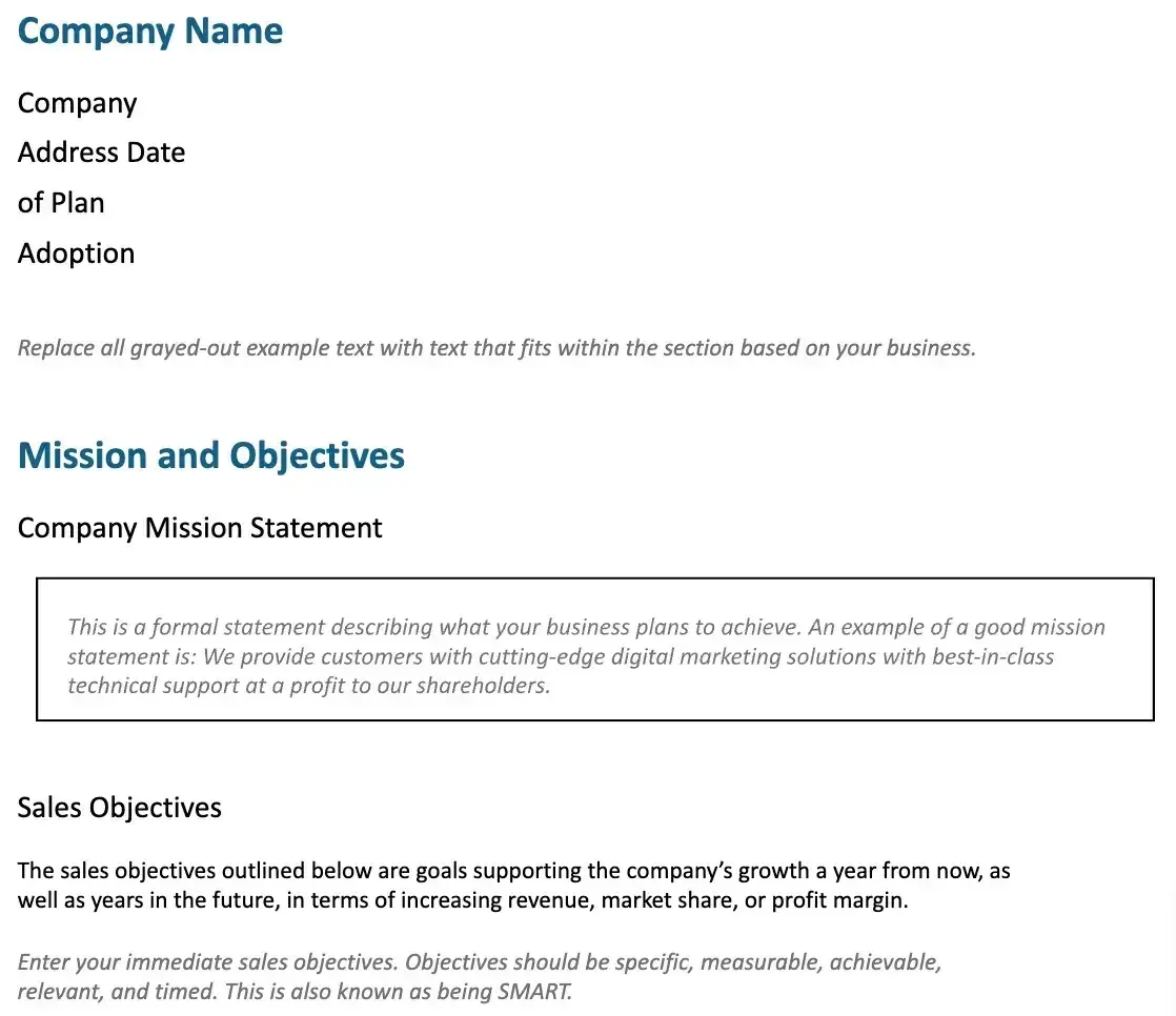 a screenshot of a page from FitSmallBusiness’ Small Business Sales Plan template