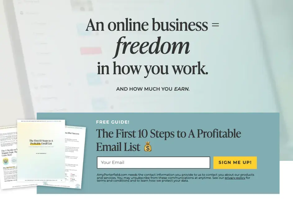 lead magnet example from amy porterfield