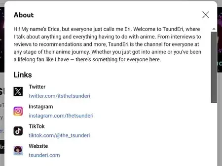 youtube description, erica