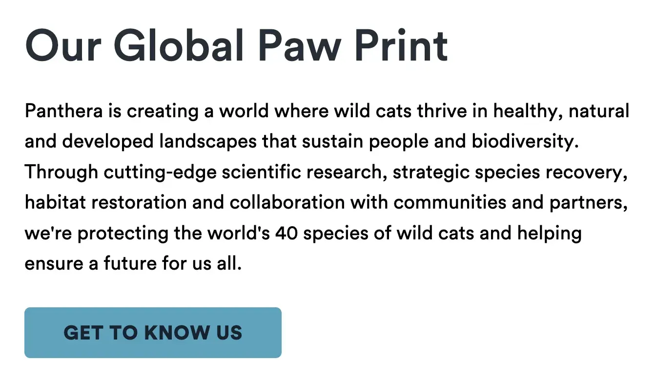 panthera cta example.
