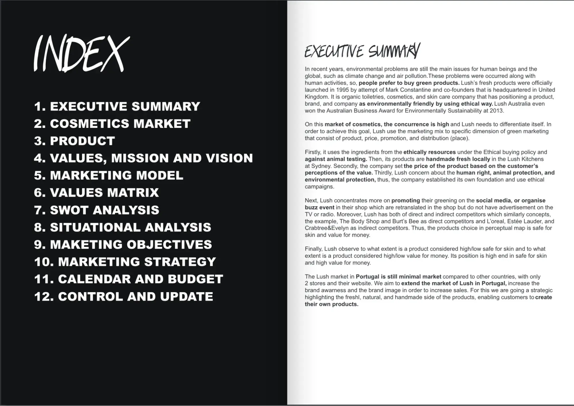 marketing plan, lush cosmetics